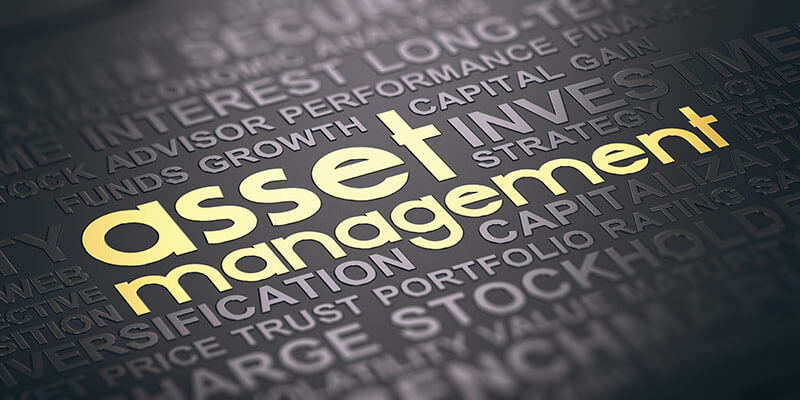 Asset management for foundations - lettering Asset Management in gold surrounded by other important terms Asset management for foundations - lettering Asset Management in gold surrounded by other important terms