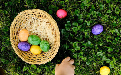 Wydler wünscht ein Frohes Osterfest 2024
