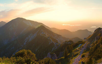 Monthly reporting October 2025