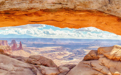 Monthly report March 2026